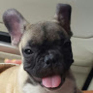 Meet your Posher, Philip